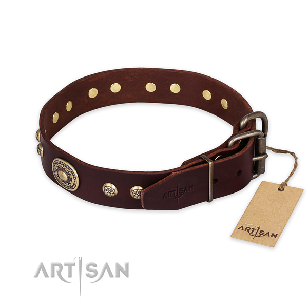 Rust resistant traditional buckle on leather collar for daily walking your doggie