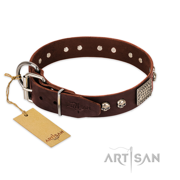 Corrosion resistant studs on everyday use dog collar