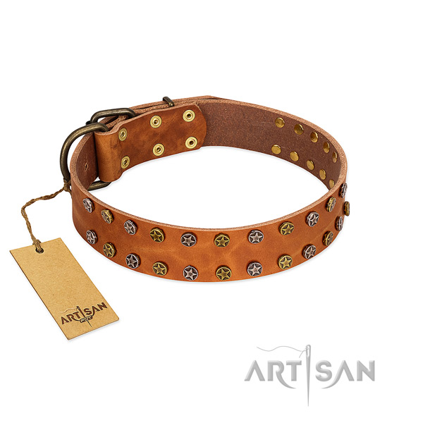 Comfy wearing top rate full grain genuine leather dog collar with studs