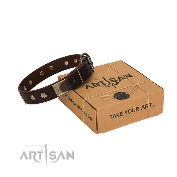 Rust-proof adornments on dog collar for comfy wearing