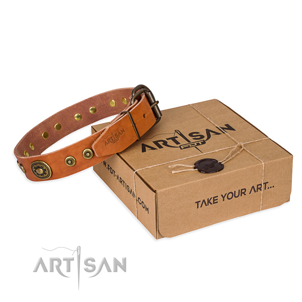 Leather dog collar made of top notch material with corrosion proof traditional buckle