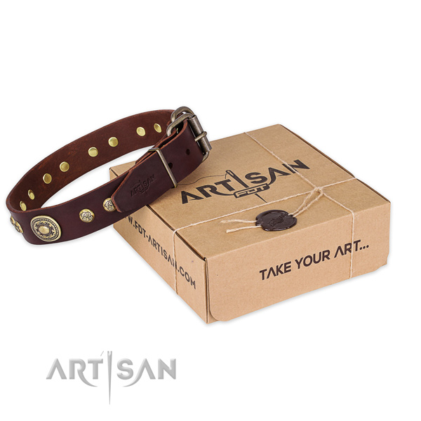 Strong buckle on full grain genuine leather dog collar for walking