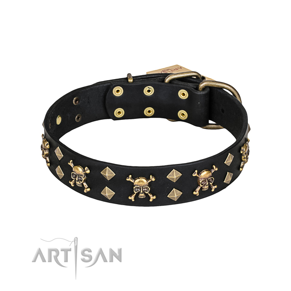 Walking dog collar of durable full grain leather with decorations