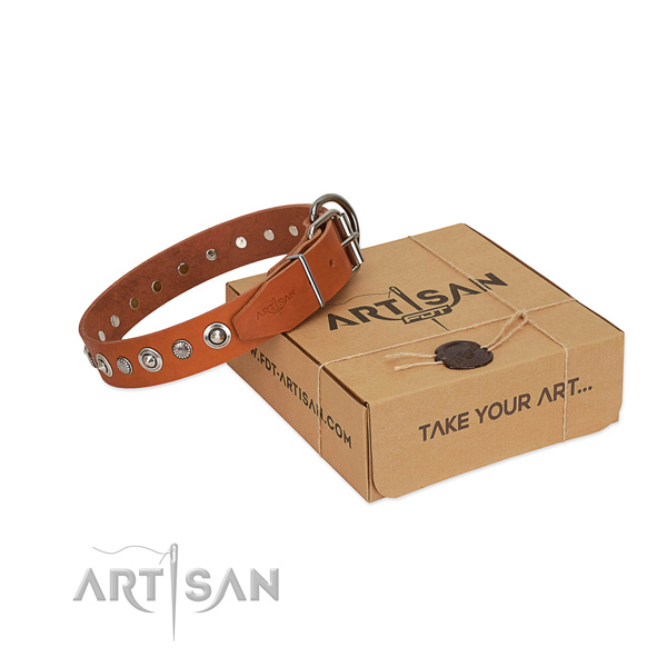 Top notch full grain leather dog collar with inimitable decorations