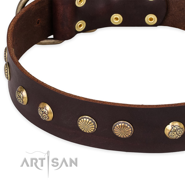 Full grain natural leather collar with corrosion proof traditional buckle for your handsome doggie