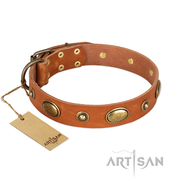 Exceptional genuine leather collar for your four-legged friend