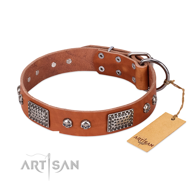 Adjustable natural genuine leather dog collar for everyday walking your four-legged friend