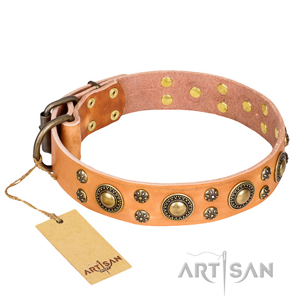 Fancy walking dog collar of quality full grain leather with decorations