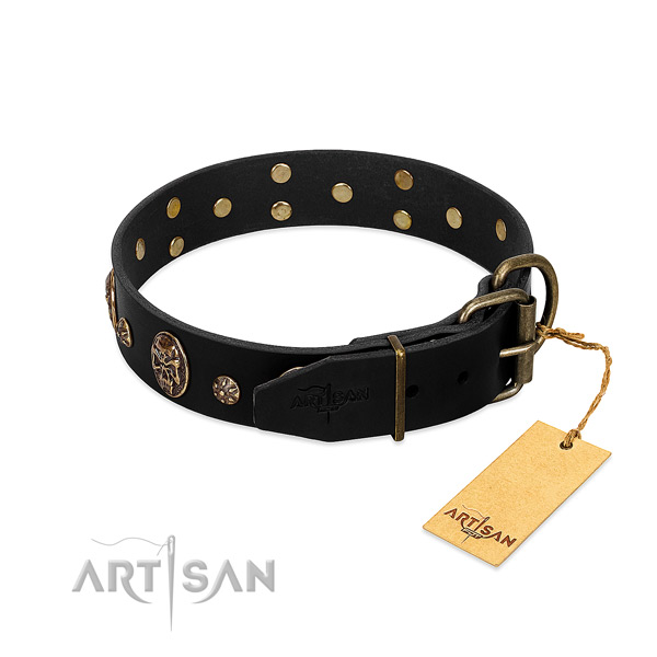 Rust resistant embellishments on genuine leather dog collar for your four-legged friend