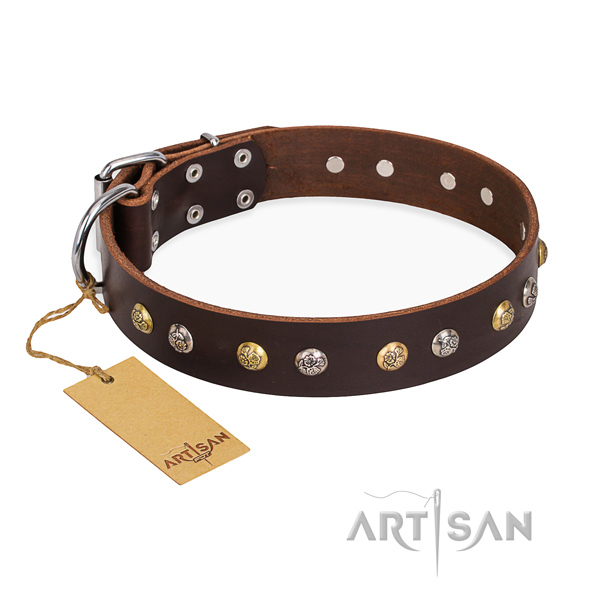 Basic training studded dog collar with reliable D-ring