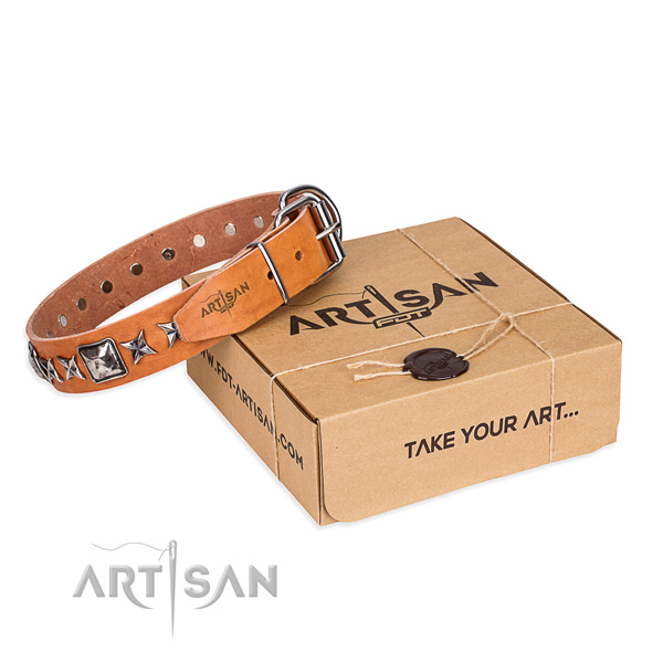 Daily walking dog collar of fine quality full grain genuine leather with studs
