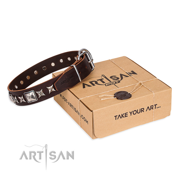 Fancy walking dog collar of top notch leather with decorations