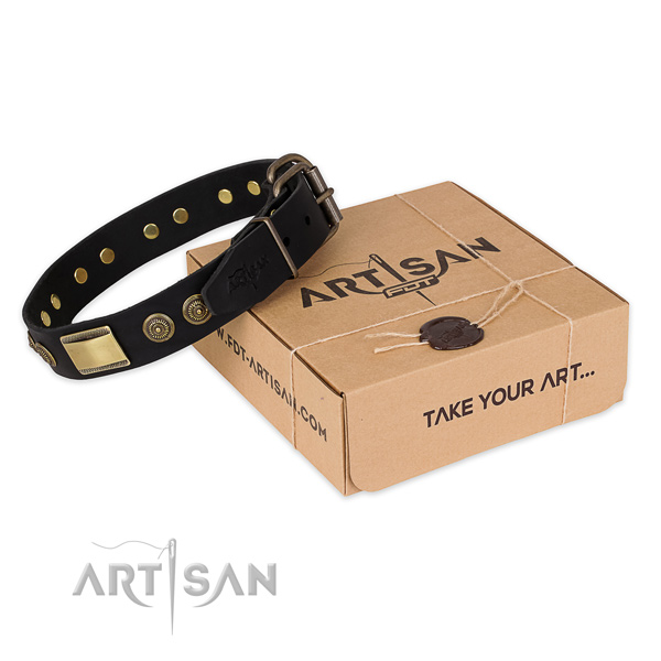 Rust resistant buckle on full grain leather dog collar for stylish walking