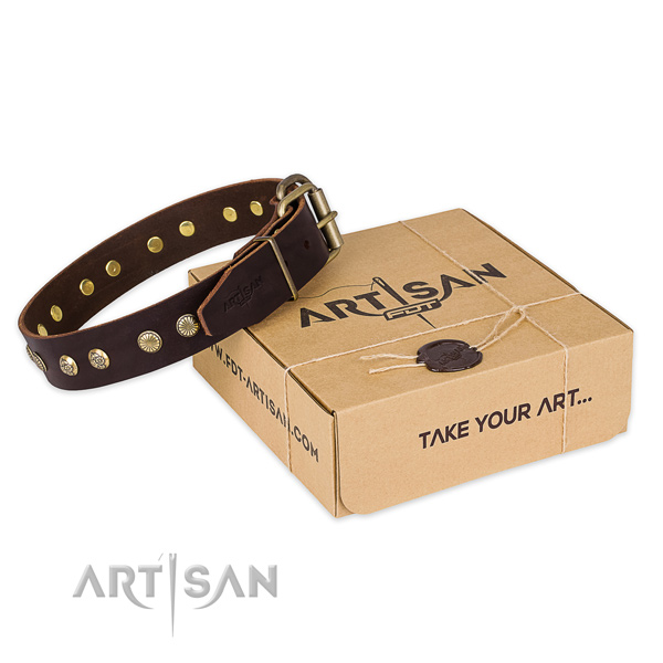 Rust resistant fittings on full grain natural leather collar for your attractive canine