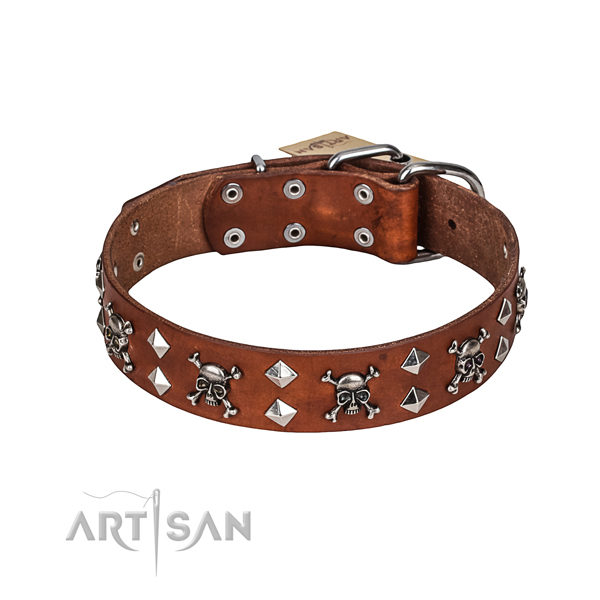 Basic training dog collar of top notch natural leather with decorations