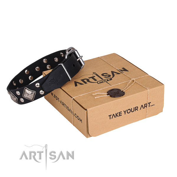 Everyday walking dog collar with Awesome rust resistant adornments