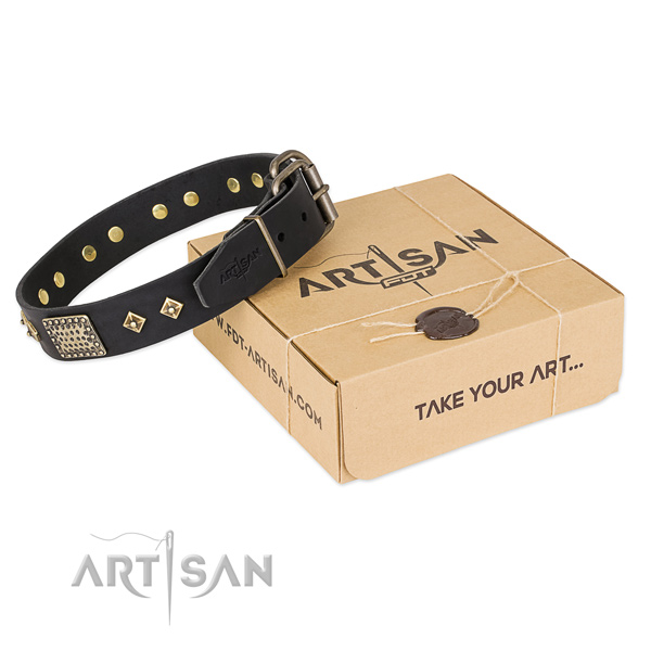 Embellished leather collar for your stylish dog