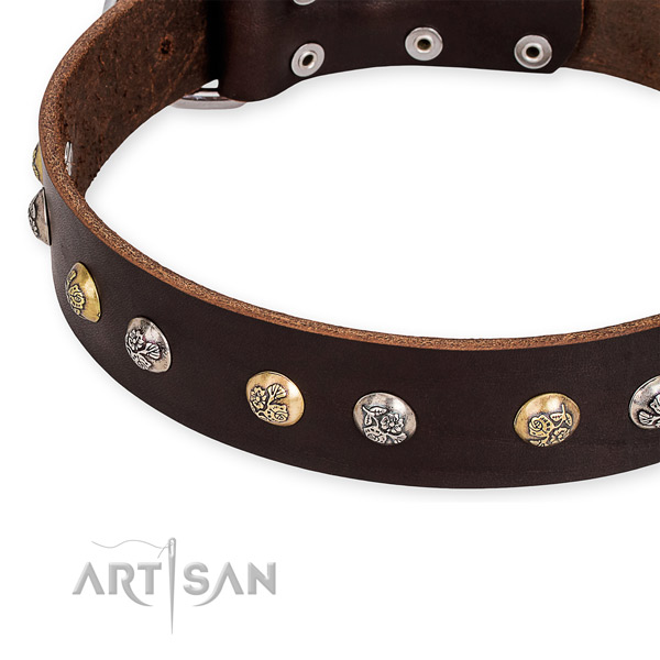 Natural genuine leather dog collar with impressive corrosion proof adornments