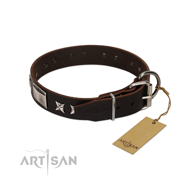 Best quality collar of genuine leather for your attractive four-legged friend