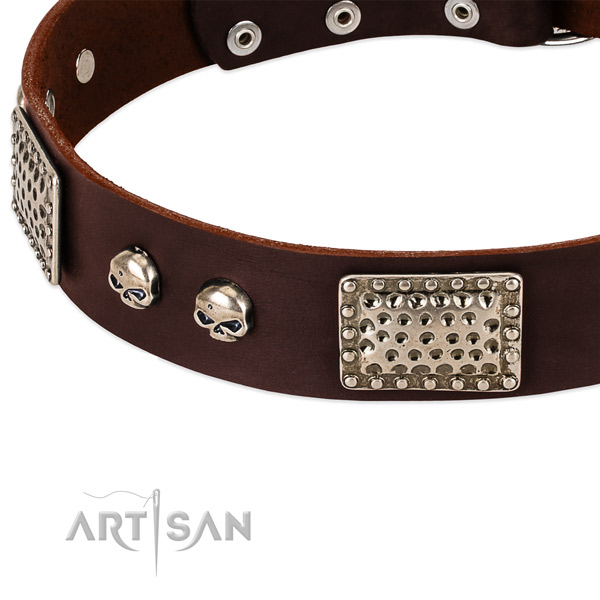 Corrosion proof studs on natural genuine leather dog collar for your four-legged friend