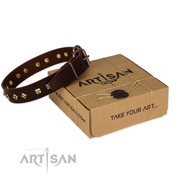 Corrosion proof hardware on leather dog collar for comfy wearing