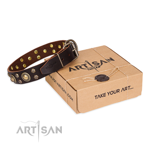 Basic training dog collar of top quality full grain natural leather with studs