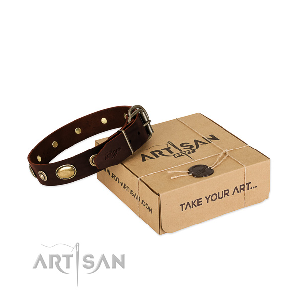 Strong adornments on leather dog collar for your dog