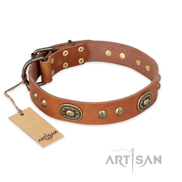 Convenient leather dog collar for everyday walking