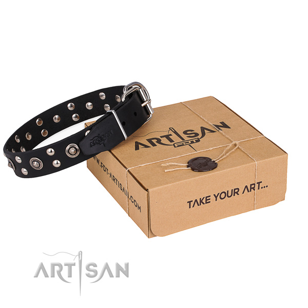 Easy wearing dog collar with Fashionable durable embellishments