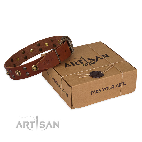 Rust resistant buckle on genuine leather collar for your lovely doggie