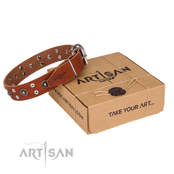 Strong traditional buckle on full grain genuine leather collar for your handsome dog