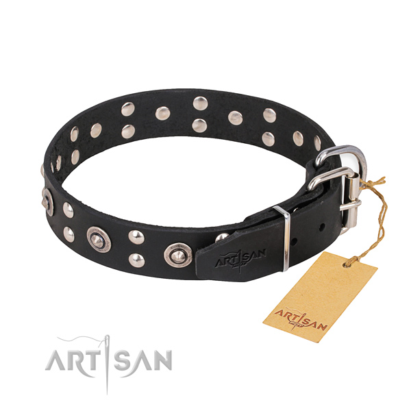 Full grain leather dog collar with trendy strong adornments