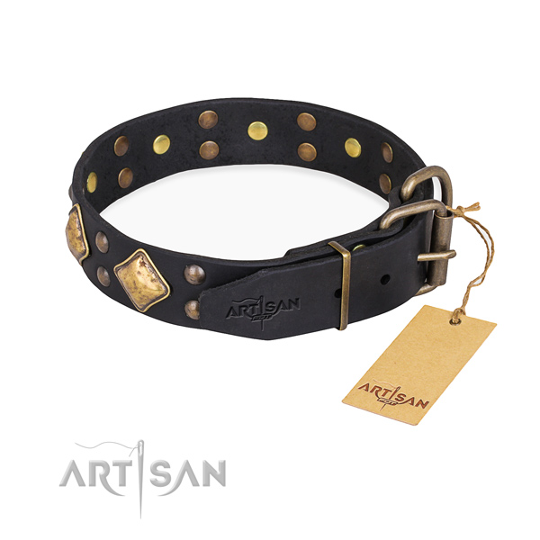 Full grain leather dog collar with inimitable reliable adornments