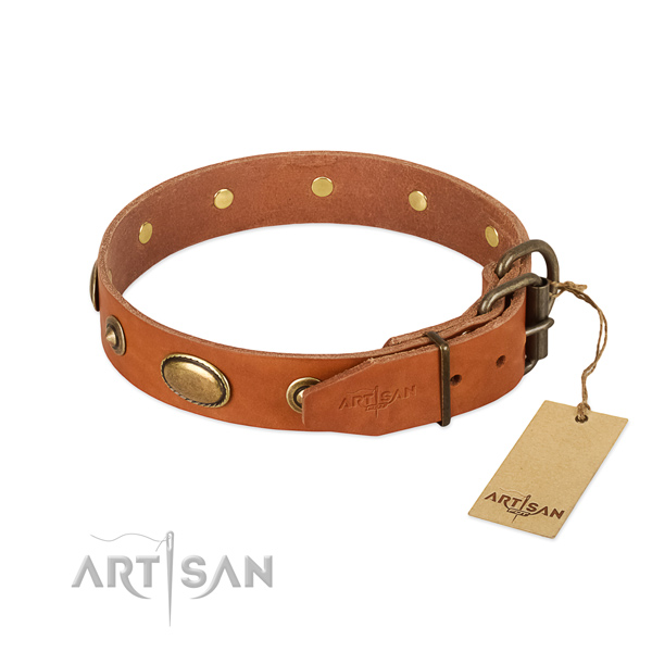 Reliable decorations on natural leather dog collar for your doggie