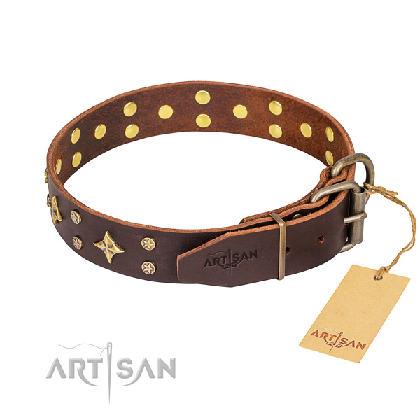 Fancy walking adorned dog collar of best quality full grain natural leather