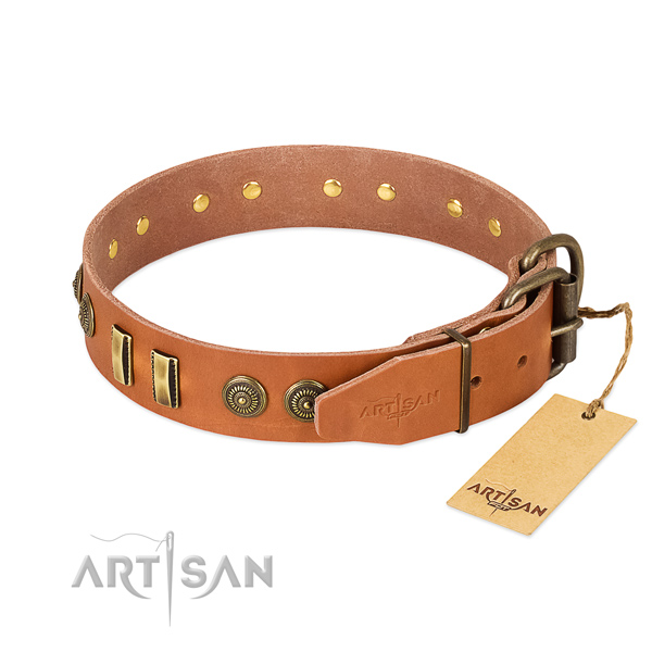 Durable traditional buckle on full grain leather dog collar for your dog