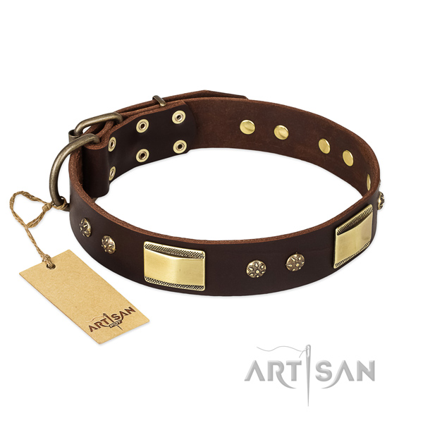 Genuine leather dog collar with rust resistant buckle and adornments