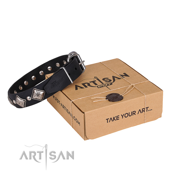 Comfy wearing dog collar of durable full grain natural leather with adornments