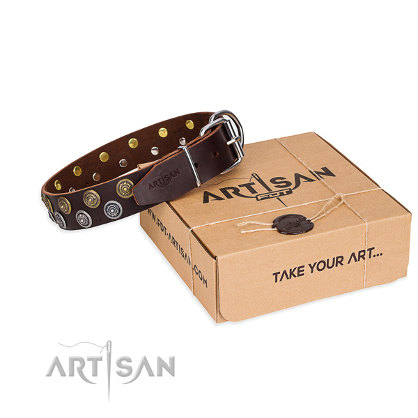 Daily use dog collar of high quality full grain genuine leather with studs
