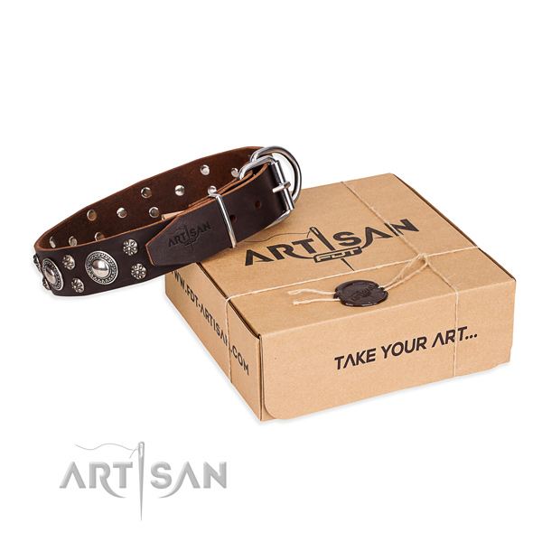 Daily walking dog collar of top quality natural leather with embellishments