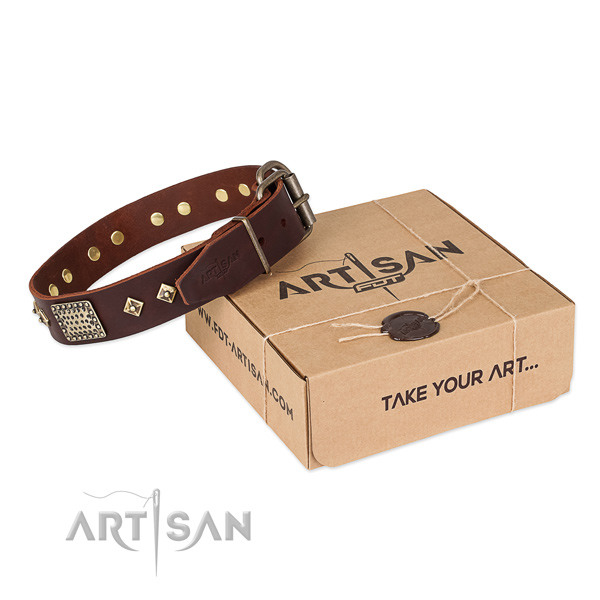 Unusual full grain genuine leather collar for your lovely canine