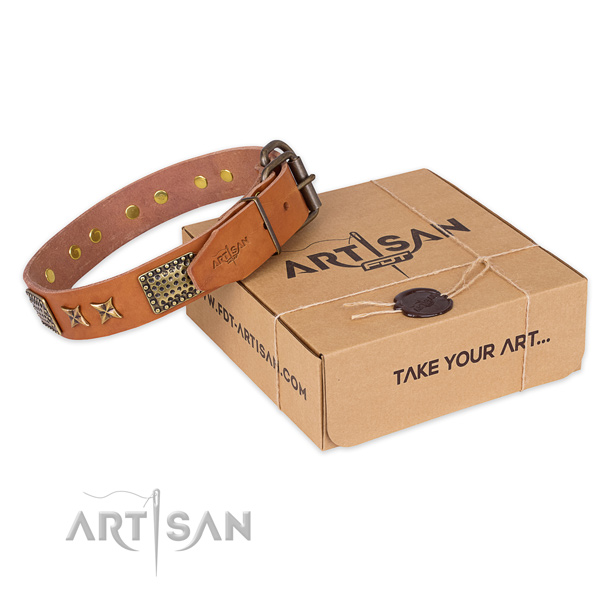 Reliable buckle on full grain genuine leather collar for your beautiful dog