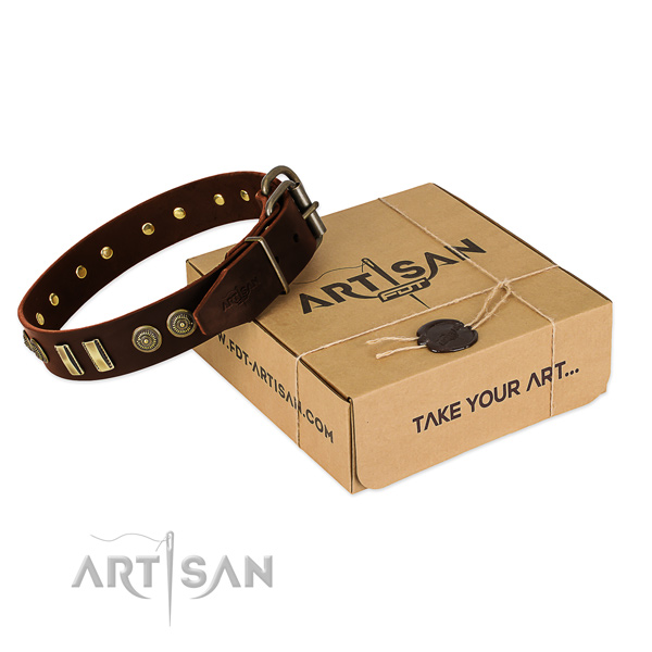 Corrosion resistant adornments on full grain leather dog collar for your doggie