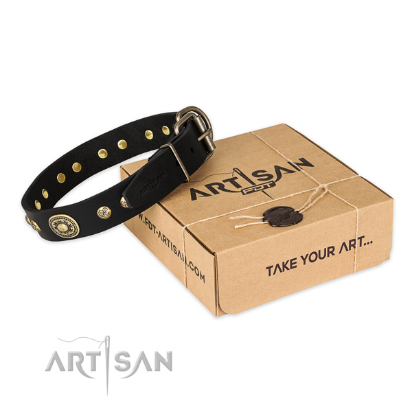 Strong fittings on genuine leather dog collar for daily use