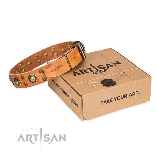 Everyday use dog collar of reliable full grain natural leather with embellishments