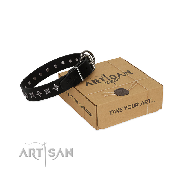 Walking dog collar of high quality full grain natural leather with adornments