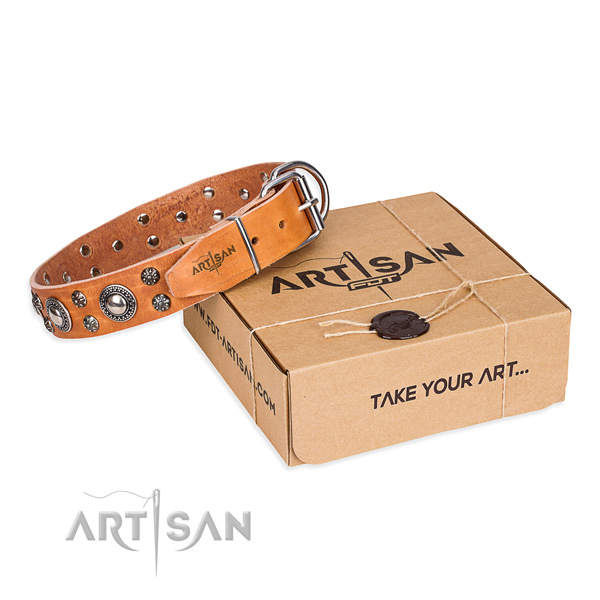 Stylish walking dog collar of high quality natural leather with studs