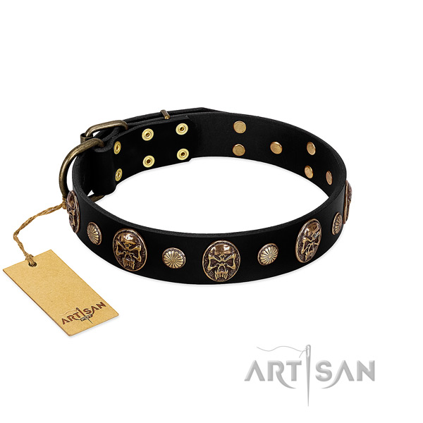Genuine leather dog collar of best quality material with unique embellishments