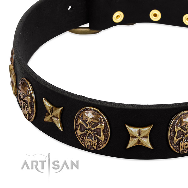 Strong embellishments on full grain genuine leather dog collar for your four-legged friend
