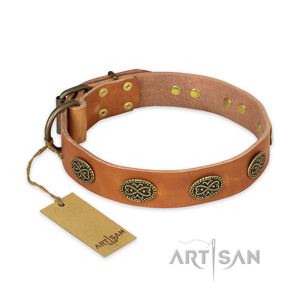Stylish leather dog collar with rust-proof fittings